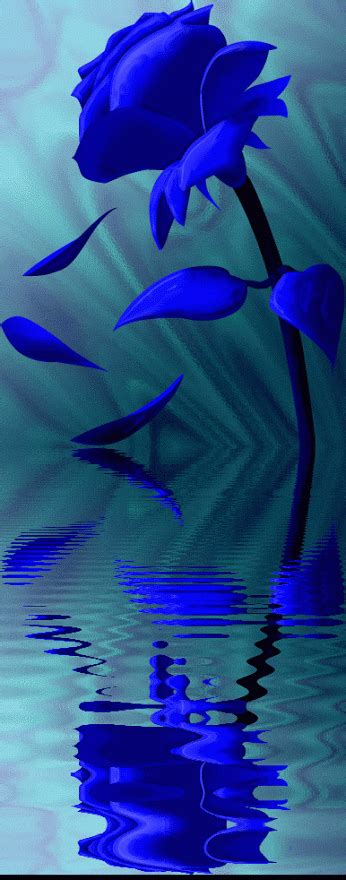 Image result for Unity Vector Rectangle