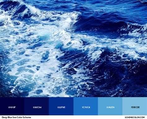 Image result for Deep Sea Blue Color Code