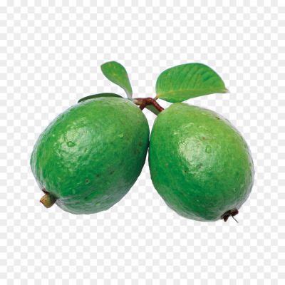 Feijoa PNG Isolated File 3UCN4NUD - Pngsource