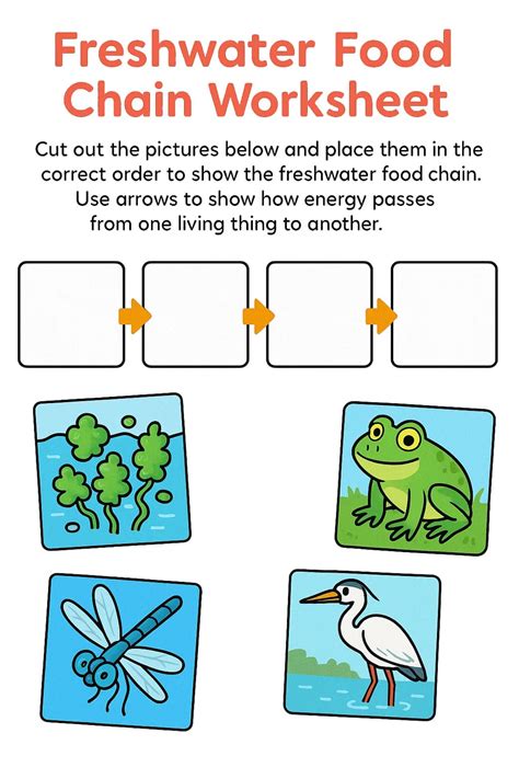 Food Chain Worksheets - Free Image & PDF Printables