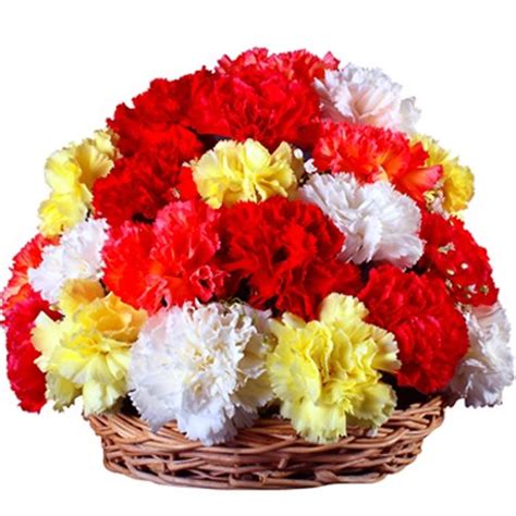 Tokenz Love Carnations Basket (Bunch of 25, Same Day Delivery) : Amazon ...