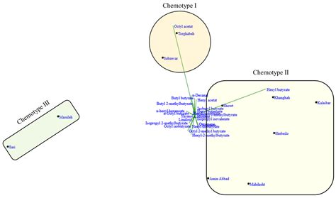 Essential Oil Variability in Iranian Populations of Heracleum persicum ...
