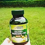 Himalayan Organics Calcium Magnesium Zinc Vitamin D3 & B12-120 ...