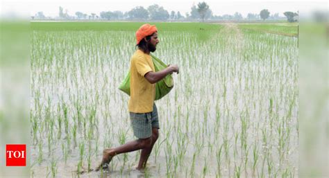 OBC farmers constitute 41.5% of PM-Kisan beneficiaries, says govt data ...