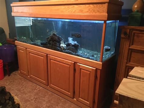 125 GALLON FISH TANK/ WITH STAND AND CANOPY Available for pick up after ...