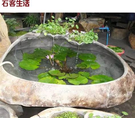 大水缸高清图片下载_红动中国