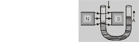 Properties of Diamagnetic Materials - Magnetism & Matters Notes Class 12