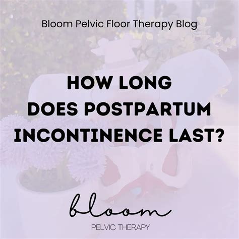 Bloom Pelvic Floor Therapy — St. Pete, Lutz, and South Tampa's Pelvic ...