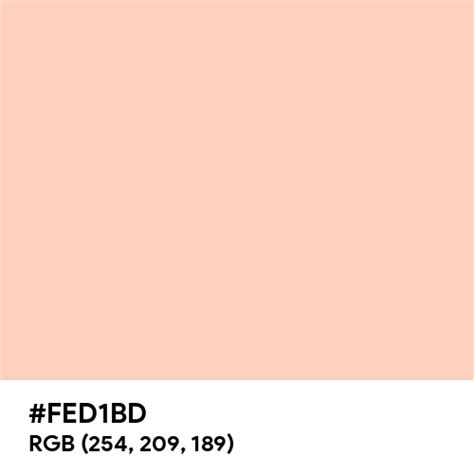 Pale Peach (Pantone) color hex code is #FED1BD