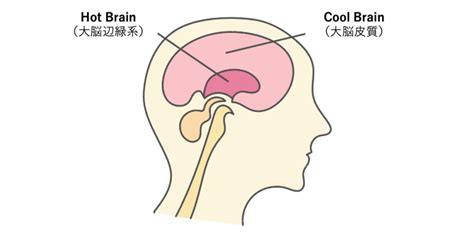 Image result for Famous Shell Structures