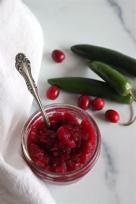 Cranberry Salsa - Creative Canning