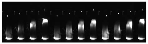 Multi-Wavelength Biometric Acquisition System Utilizing Finger ...