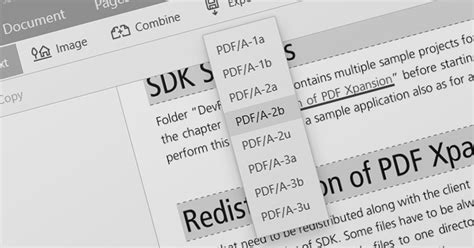 How to Embed JavaScript in PDF 的图像结果