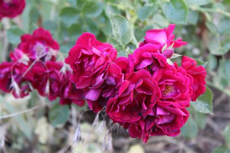 Image result for Take Me Time Machine