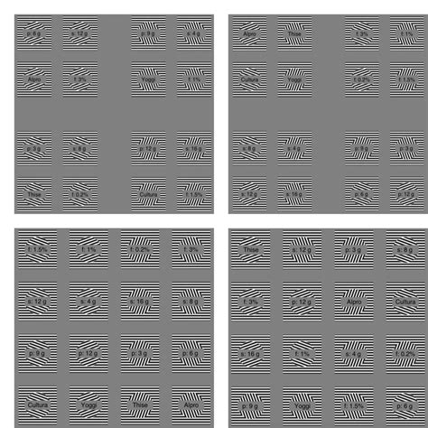 Image result for Visual Array