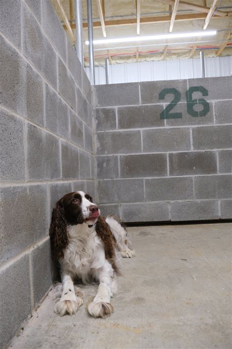 Flora Veterinary Depot Boarding Facility — The Vet Depot