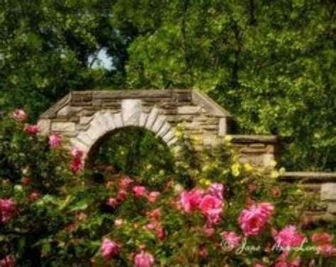 Ritter Park Rose Garden, huntington, United States Of America - Top ...