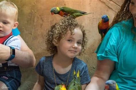 SeaQuest in Las Vegas Admission - Klook India