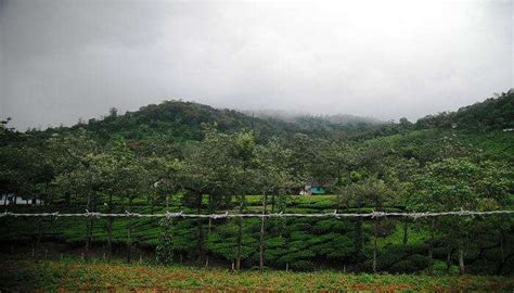 14 Stunning Hill Stations Near Madurai To Escape To In 2026