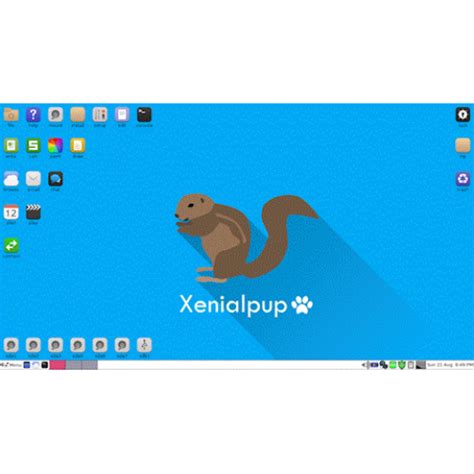 Image result for Embracing Linux Bionic Puppy 64 Bootable USB