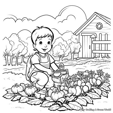 Vegetable Garden Coloring Pages - Free & Printable!