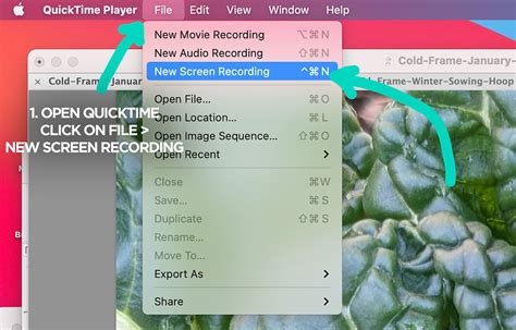 Image result for QuickTime Screen Recording