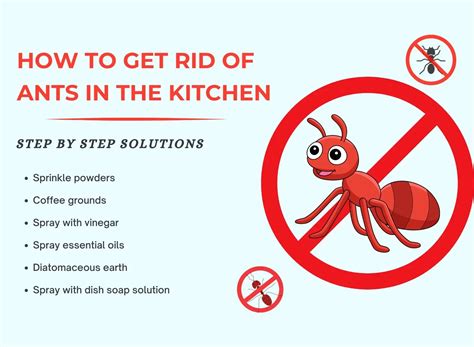 Kitchen Direction as Per Vastu: Tips to Avoid Vastu Dosh