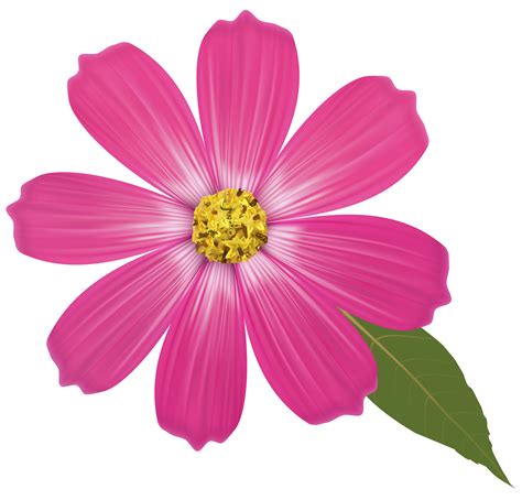 pink flower images clip art 10 free Cliparts | Download images on ...