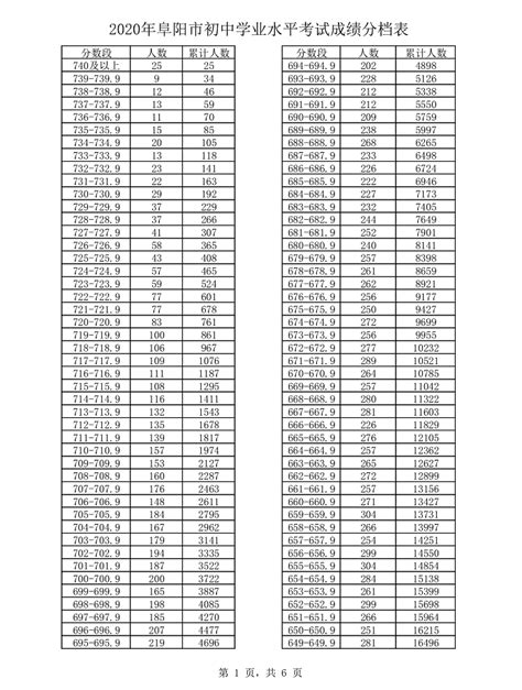 2020阜阳中考成绩一分一段表 中考成绩排名_初三网