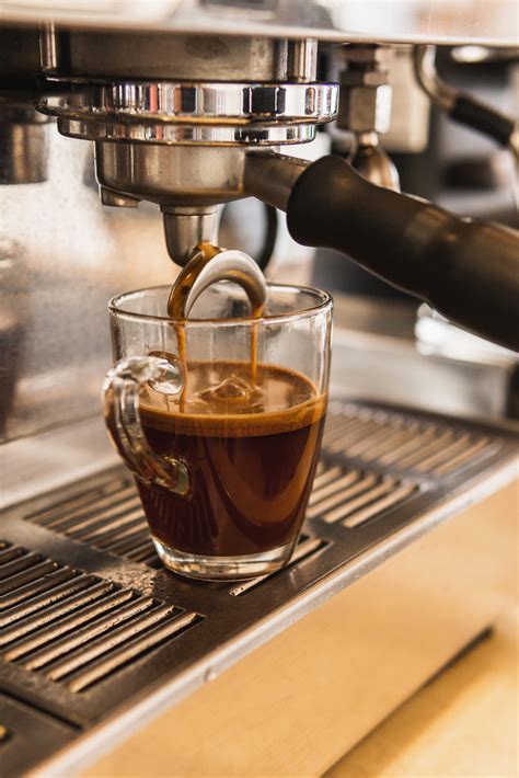 Image result for Himalayan Java Coffee