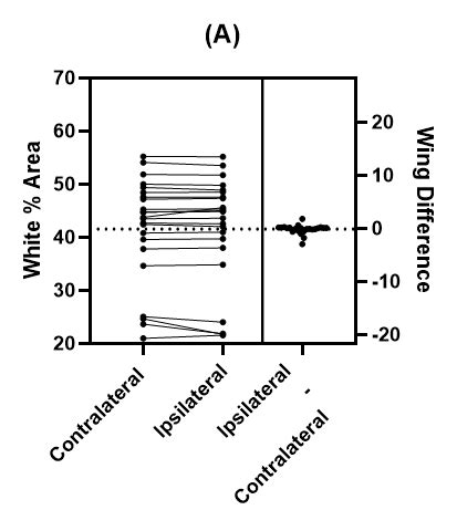Image result for Graffted Contralateral