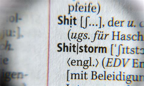 German Swear Words