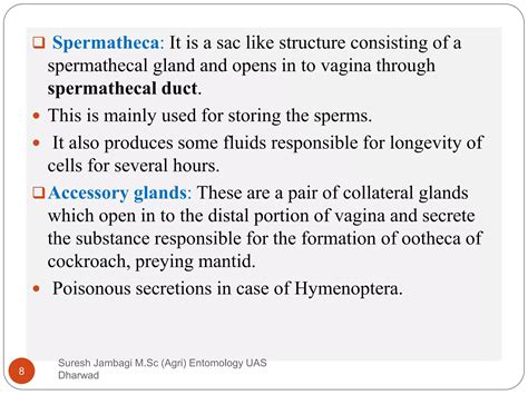 Image result for Insect Sexual Reproduction