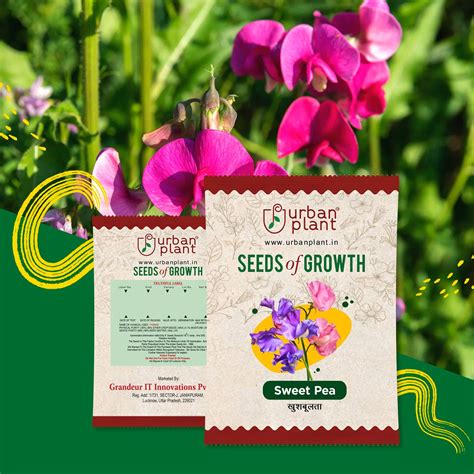 Buy Flower Seeds Online India - Fresh, High-Quality Gardening Seeds ...