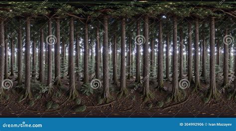 Image result for Equirectangular Forest