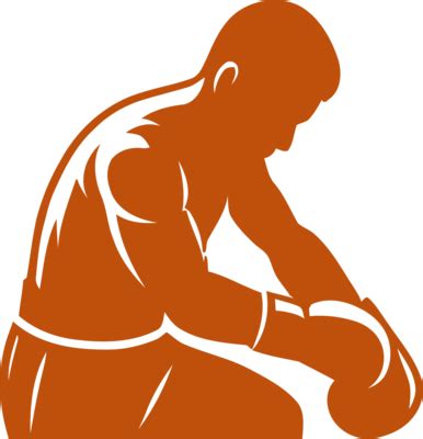 Boxing Logo Transparent 的图像结果