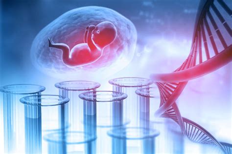 Image result for Fetus DNA Testing