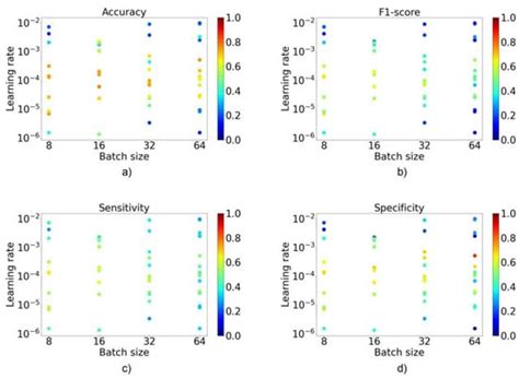 Hyperparameter Tuning and Automatic Image Augmentation for Deep ...