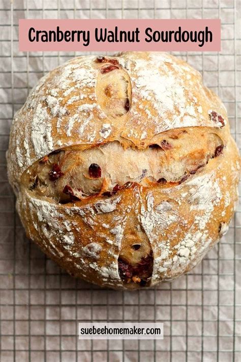 cranberry walnut sourdough bread king arthur