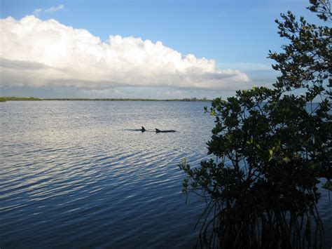 Campgrounds in Sebastian Florida: Top RV Parks & Camp Sites