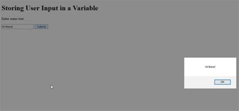 Image result for JavaScript Variable Input