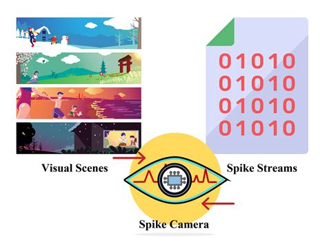 Image result for Spike Coding