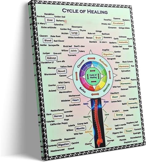 Amazon.com: TEXAS ART The Healing Web Poster Canvas Wall Decor Natural ...