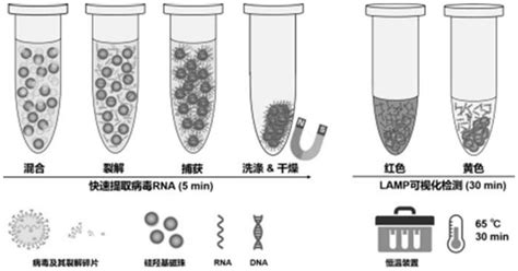 Lamp Technology 的图像结果
