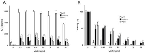 Aggregatibacter actinomycetemcomitans Leukotoxin Activates the NLRP3 ...