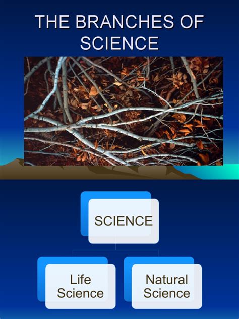 Branches of Science 的图像结果