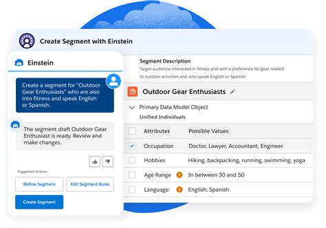 Customer Data Platform (CDP): Complete Guide | Salesforce IN