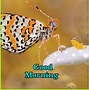 Image result for Nature Good Morning Images Download