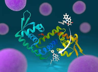 Services | Science Media Centre