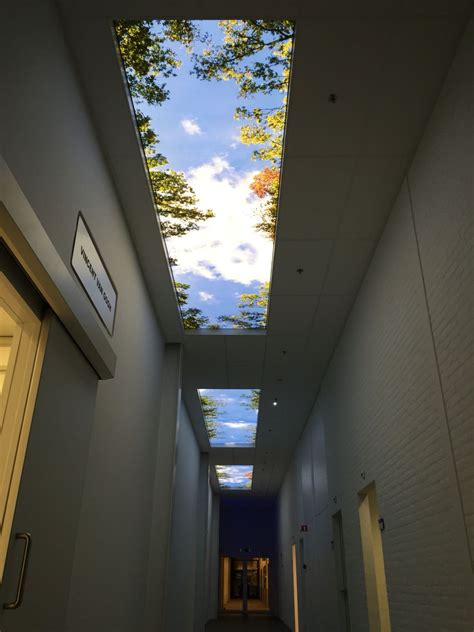 Fake Window Trend 的图像结果